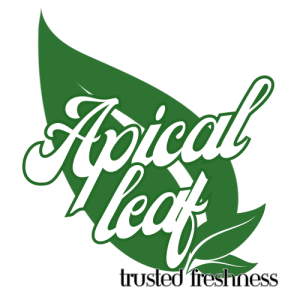 Apical Leaf Logo Full