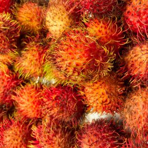 Rambutan