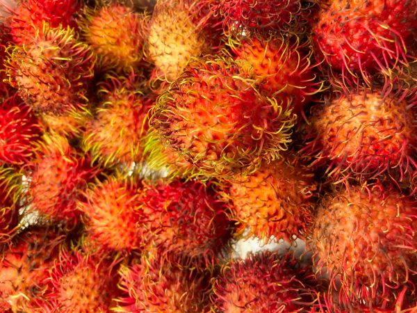 Rambutan