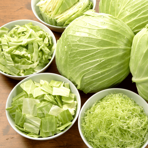 Cabbage