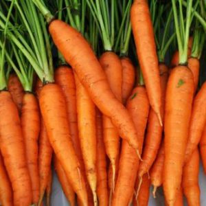 Carrots