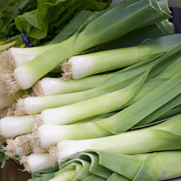 Leek