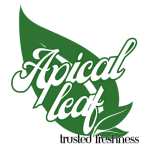 Apical Leaf Logo Full