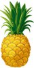 pineapple_animate